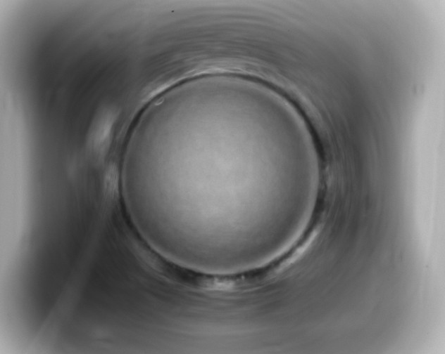 X0000099941505200805231240