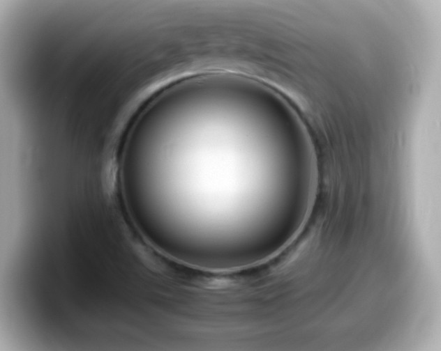 X0000099941507200805231240