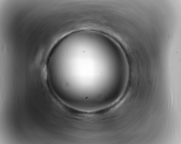 X0000099941509200805231240