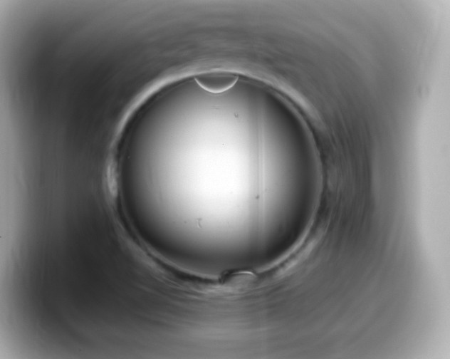 X0000099941510200805231240