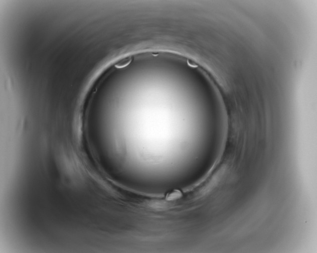X0000099941511200805231240