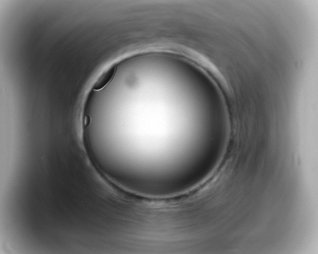X0000099941512200805231241