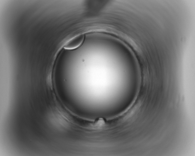 X0000099941513200805231241