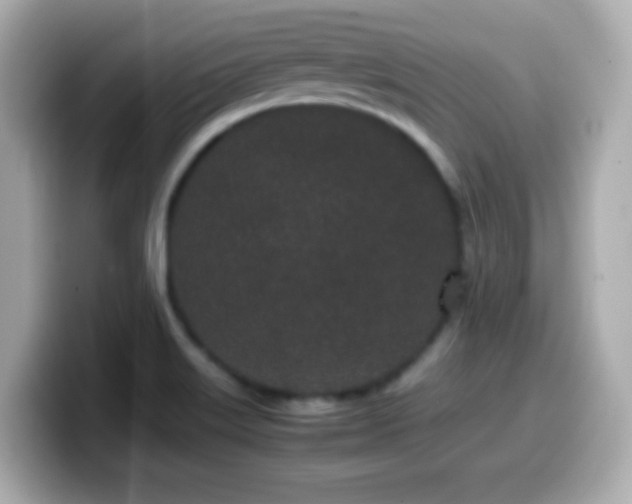 X0000099941515200805231241