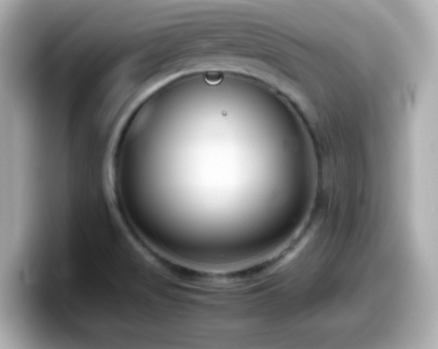 X0000099941517200805231241
