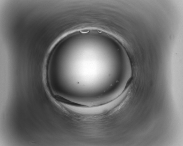 X0000099941518200805231241