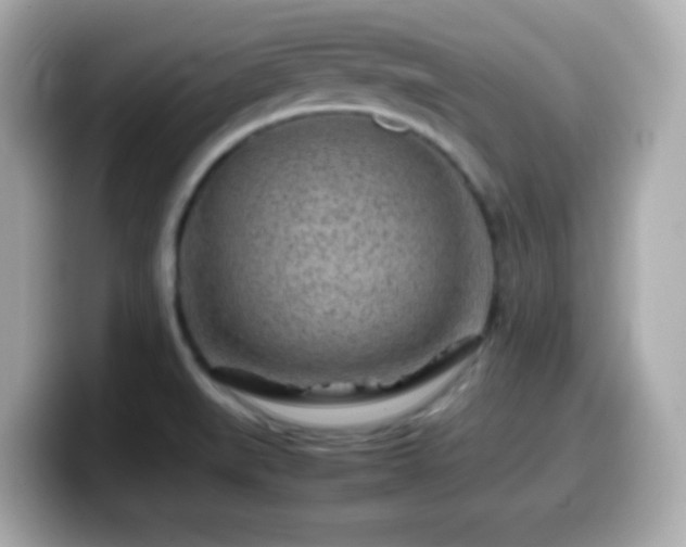 X0000099941519200805231241