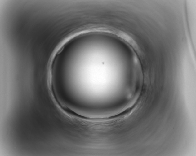 X0000099941520200805231241