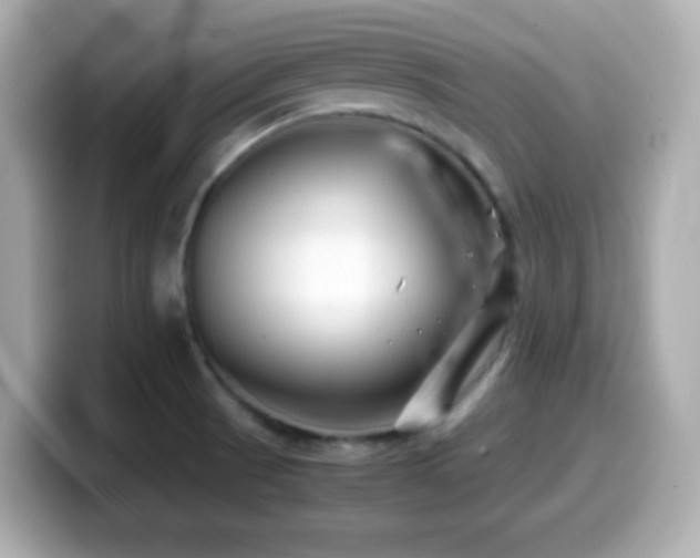 X0000099941521200805231241