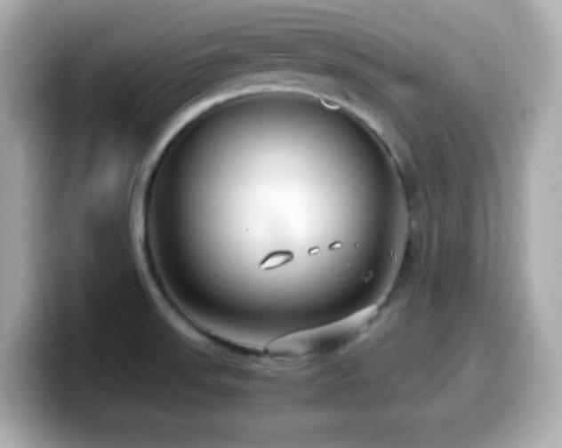 X0000099941523200805231241