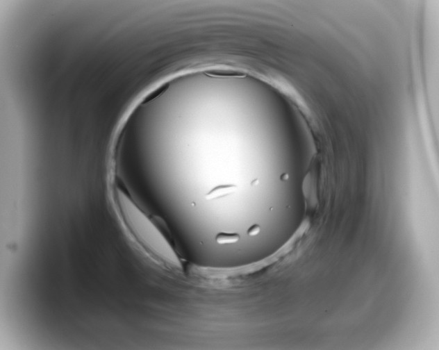 X0000099941524200805231241