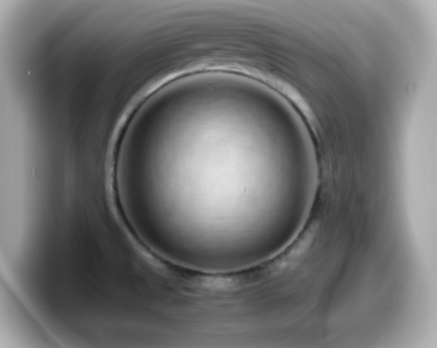 X0000099941525200805231241