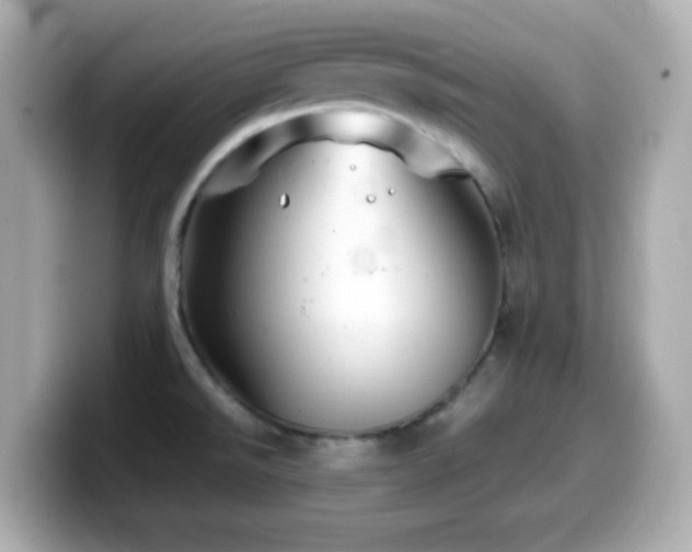 X0000099941526200805231241