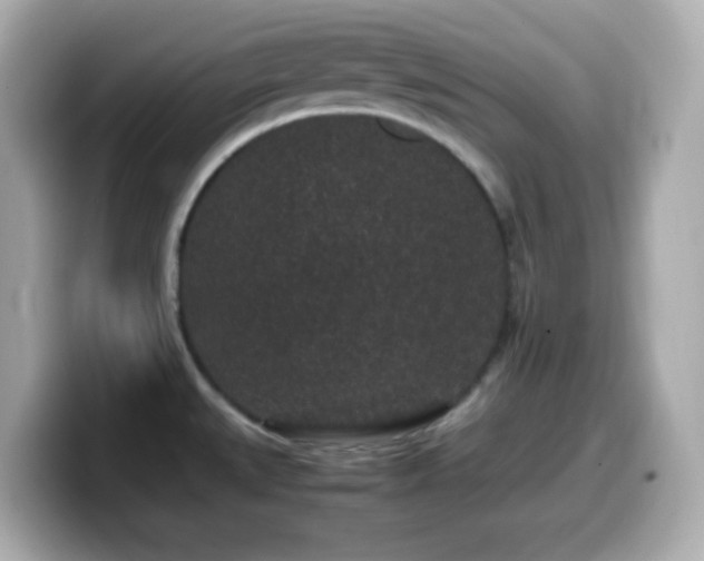 X0000099941527200805231241