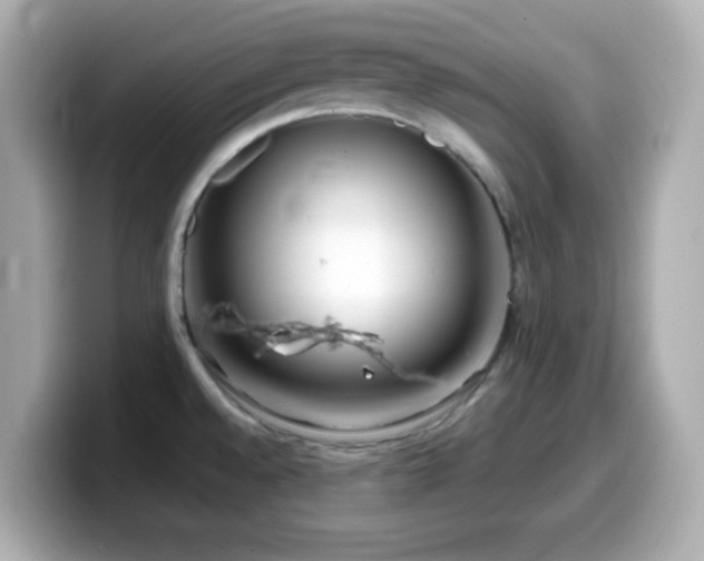 X0000099941528200805231241