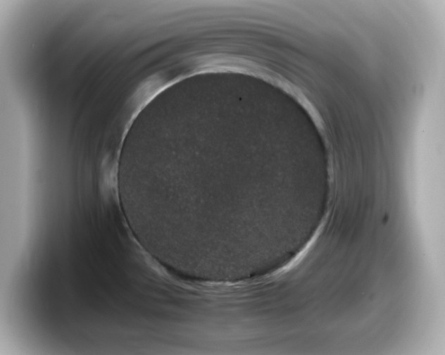 X0000099941529200805231241