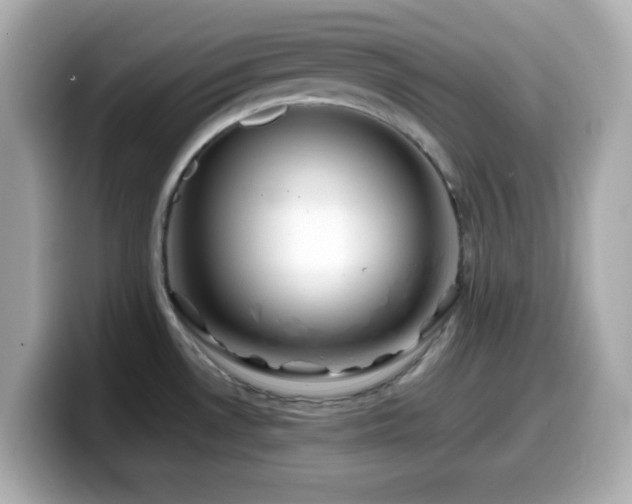 X0000099941530200805231241