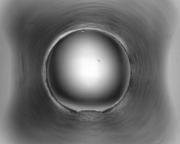 X0000099941531200805231241