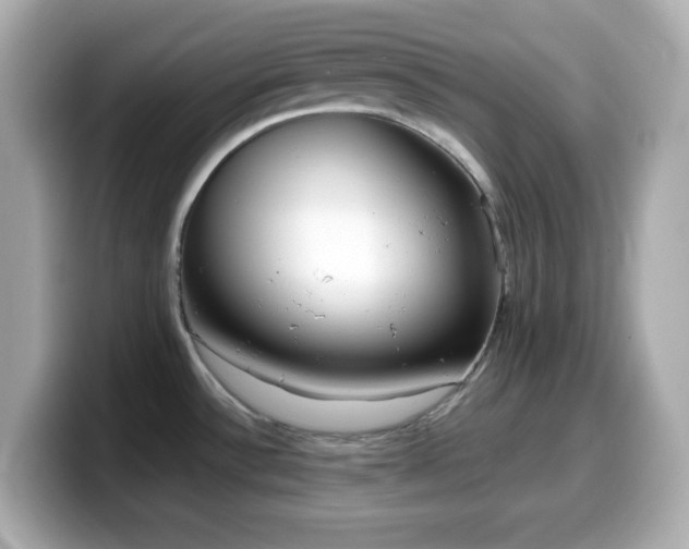 X0000099941532200805231241