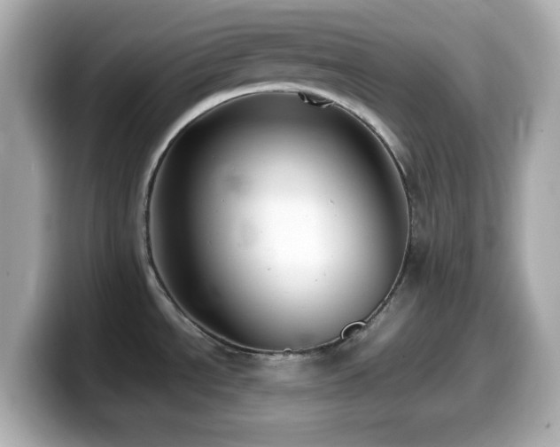 X0000099941534200805231241