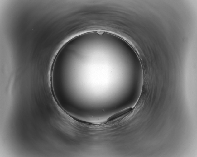 X0000099941535200805231241