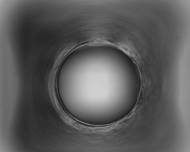 X0000099940001200805301226