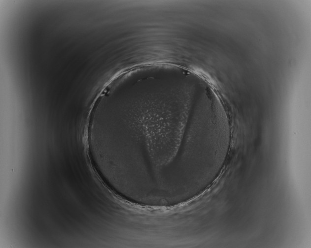X0000099940002200805301226
