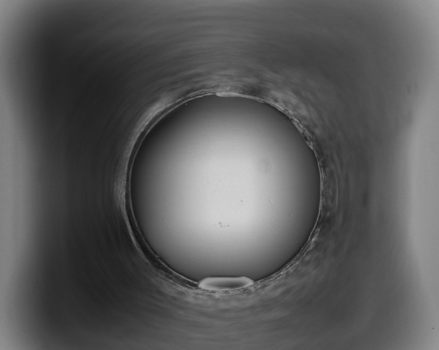 X0000099940003200805301226