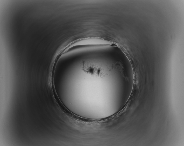 X0000099940004200805301226