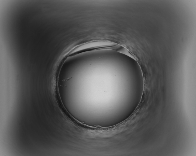 X0000099940005200805301226