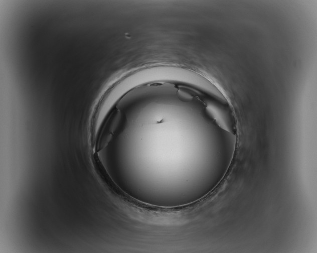 X0000099940008200805301226