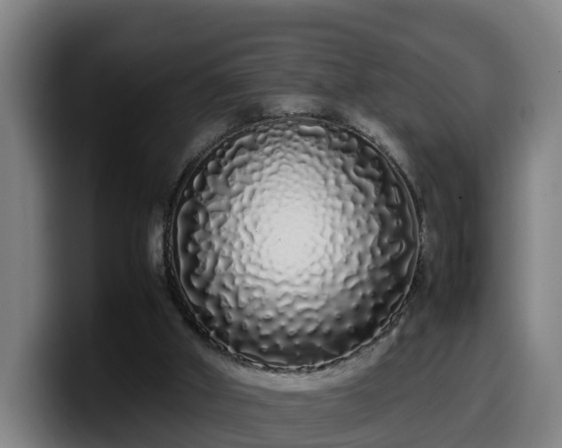 X0000099940010200805301226