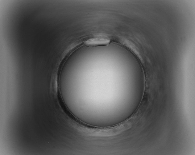 X0000099940011200805301226
