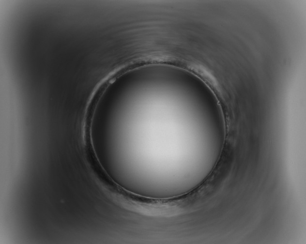 X0000099940012200805301226