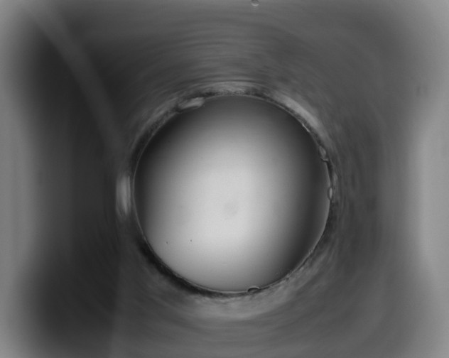 X0000099940013200805301226