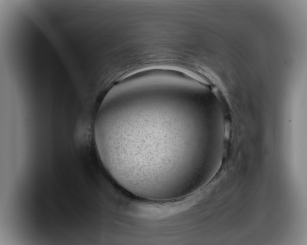 X0000099940017200805301226