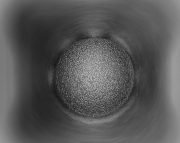 X0000099940018200805301226