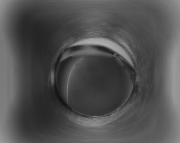 X0000099940019200805301226