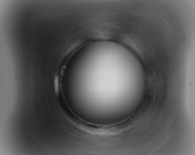 X0000099940020200805301226