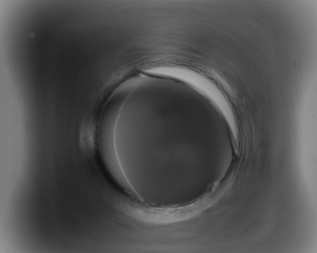 X0000099940023200805301226
