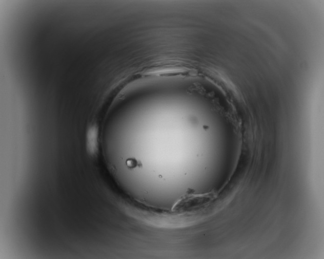X0000099940024200805301226