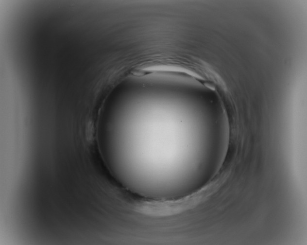 X0000099940025200805301226