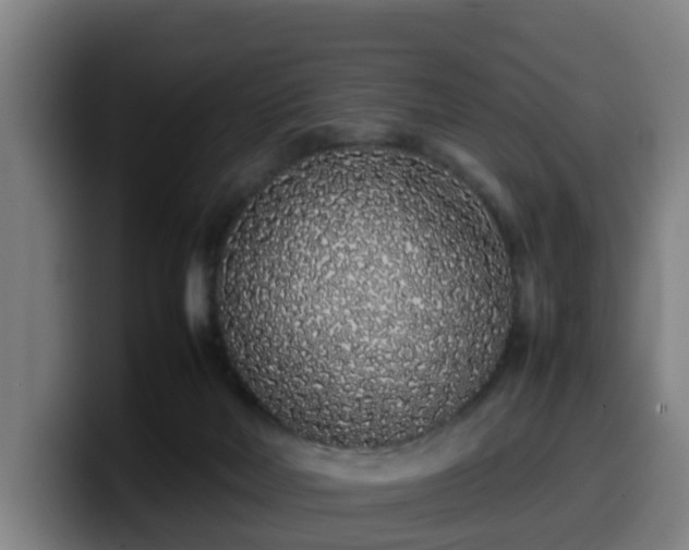 X0000099940026200805301226
