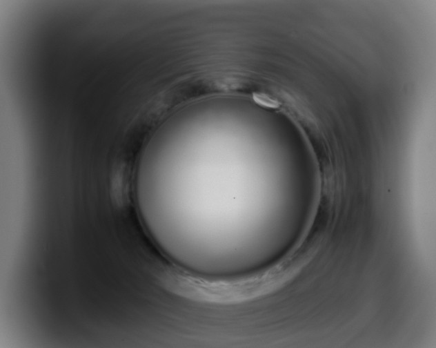 X0000099940030200805301226