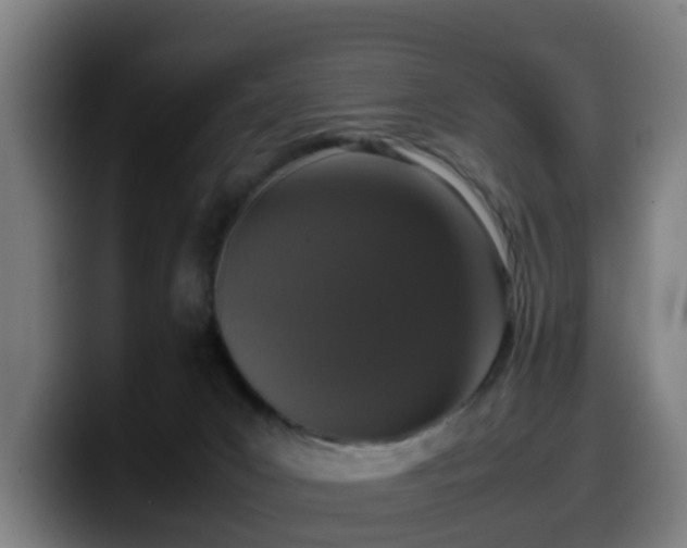 X0000099940031200805301226