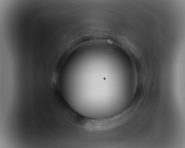 X0000099940033200805301226