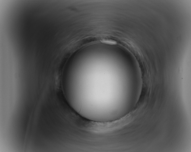 X0000099940037200805301226