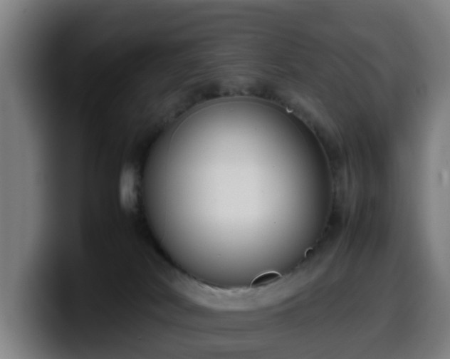 X0000099940038200805301226