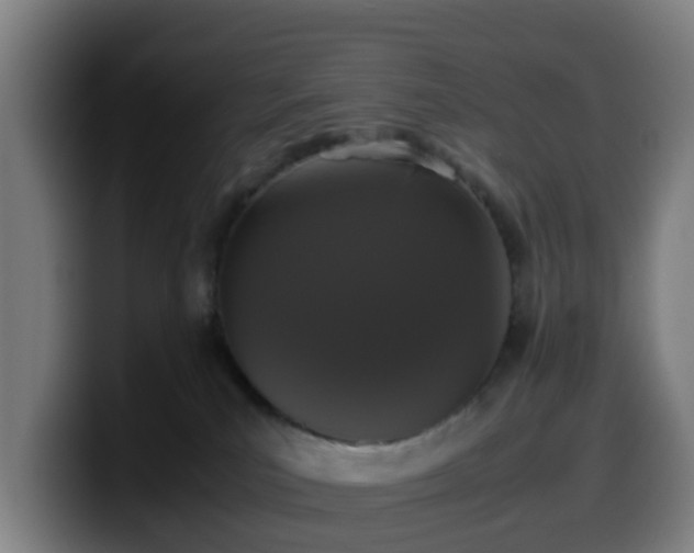X0000099940039200805301226