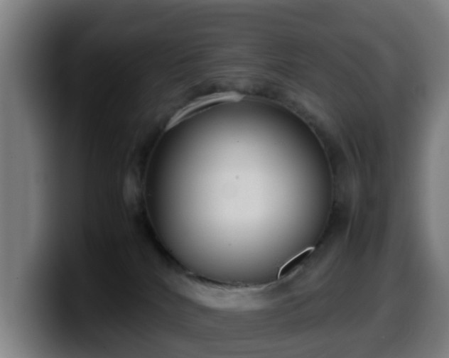 X0000099940040200805301226